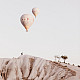 hot air balloons