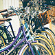 bikes lined up